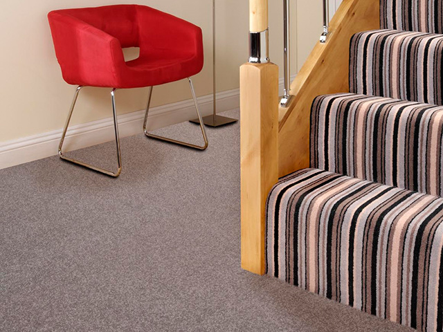 Adam Carpets – CVS03 Autmn Watch