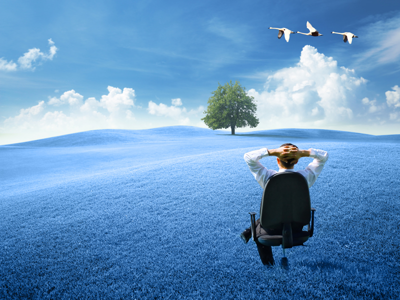 Van Besouw Carpets - Bes Project Rapijt