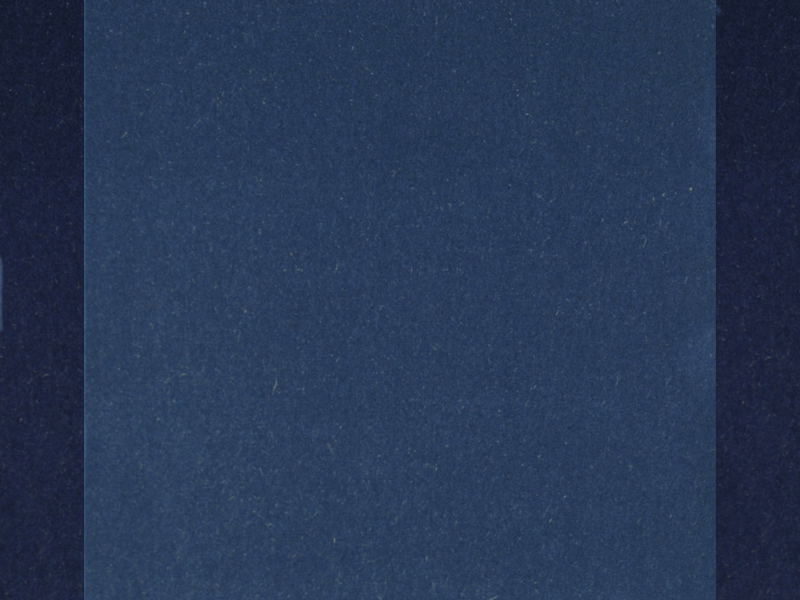 Louis de Poortere - Visa - Bleu Foncé width border