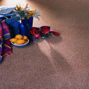 Cavalier Carpets – Confetti