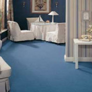 Cavalier Carpets – Stain Less Twist