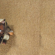 Cavalier Carpets – Tumbledown