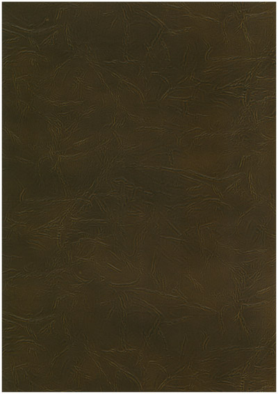 Corium_Umbria_Seppia