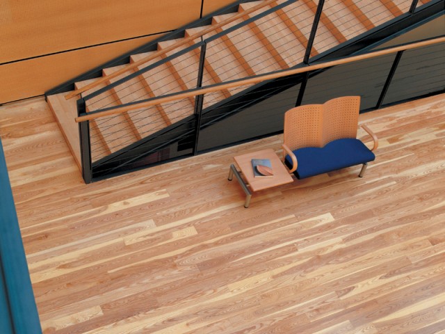 Junckers – Dark Ash