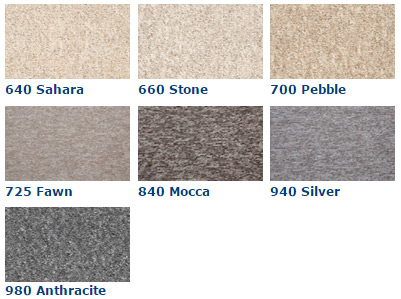 Florco - Festival Actionbac varianats