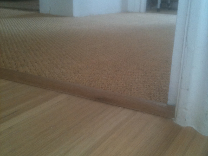 carpet and wood living areas