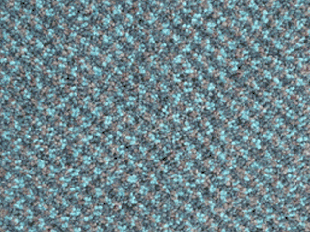 Joseph Hamilton Seaton Carpets – Savoy