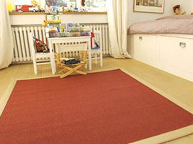 Louis De Poorteere Ibis