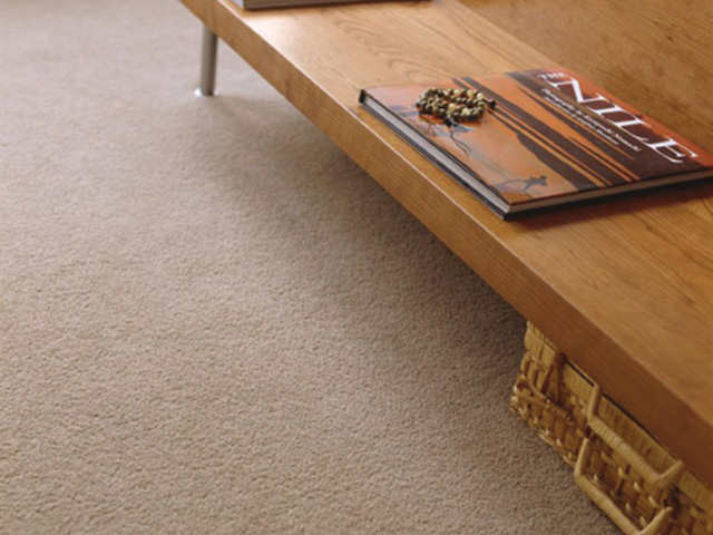 Penthouse Carpets – Esprit