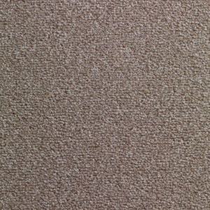 SSP 600 c Caraway Seed