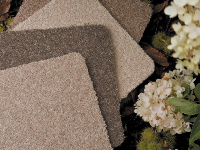 Ulster Carpets – Natural Choice – Alpaca, Cobble, Eider and Plover