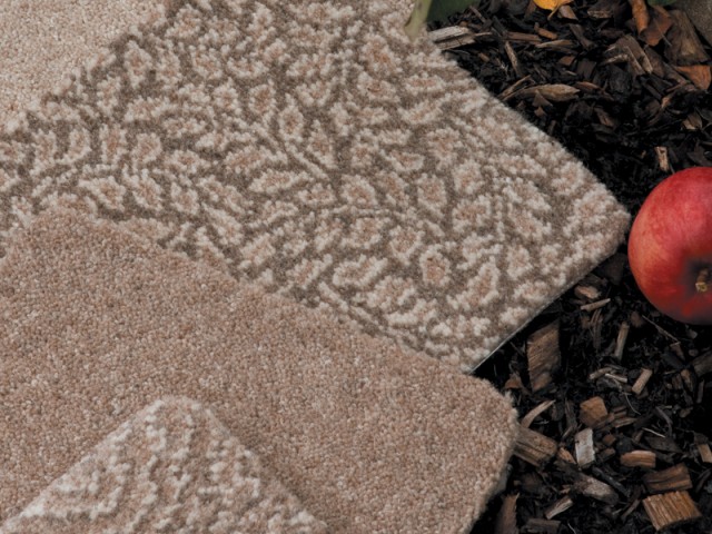 Ulster Carpets – Natural Choice – Cove, Fawn, Plover, Rowan, Fawn and Eider