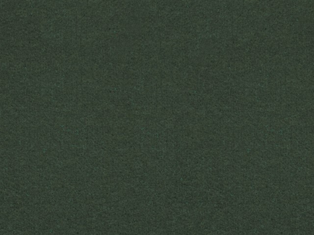 Louis de Poortere – Visa – Vert Clair