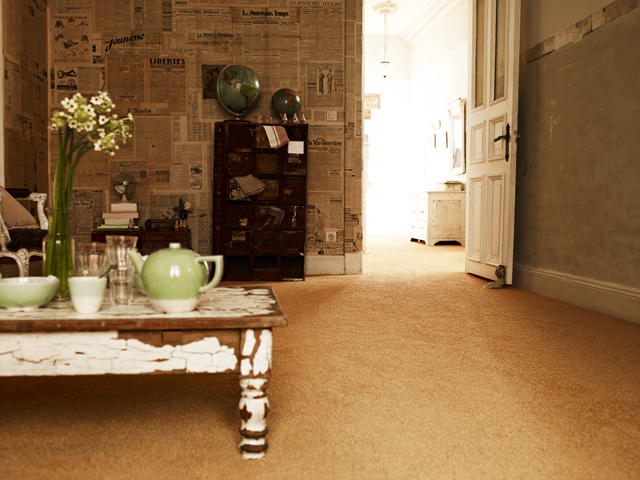 Vorwerk Carpets – Personal Treasure Oviedo