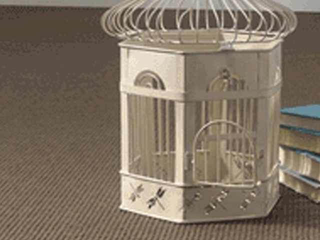 Woodward Grosvenor – Wadi