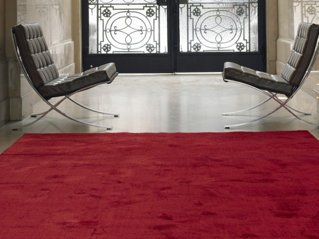 B.I.C. Carpets – Ily