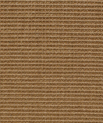 Big Boucle Classics Coco E313