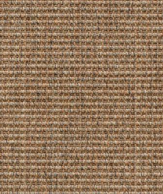 Big Boucle Titan Apollo D593