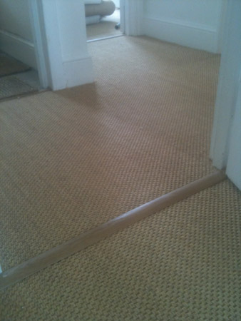 carpet and wood living areas 2