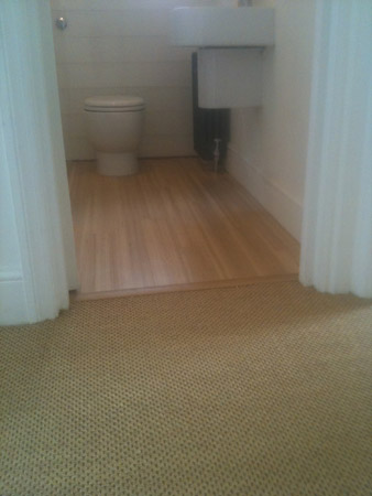 carpet and wood living areas 4