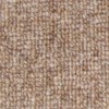 carpets_for_landlords_balmoral_dark_beige