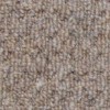 carpets_for_landlords_windsor_dark_beige