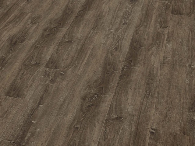 Cavalio – Projectline – 2967 Limed Oak Brown