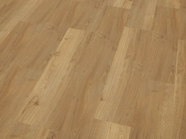 Cavalio – Conceptline – 3032 Classic Oak