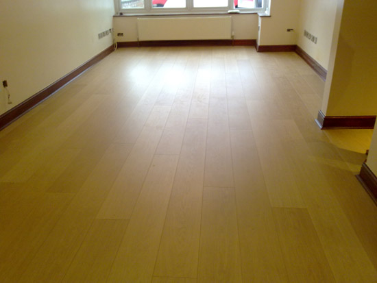 Amtico floor areas, living room, stairs and hall