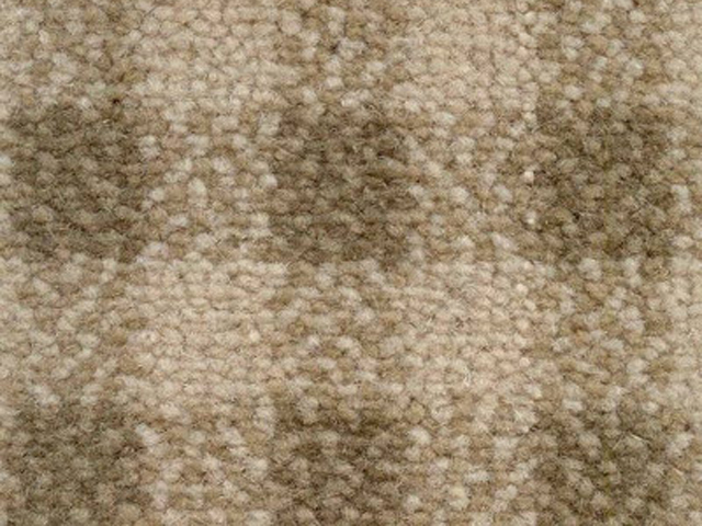 Joseph Hamilton Seaton Carpets - Fairmont - Carpet
