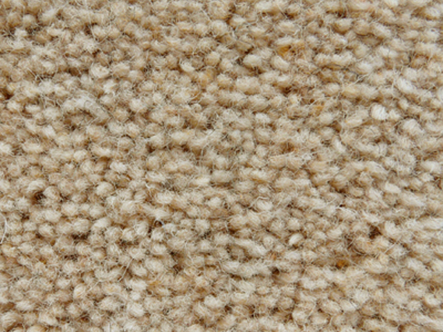 Joseph Hamilton Seaton Carpets - Haywood Twist Standard - Carpet - Wood Flooring
