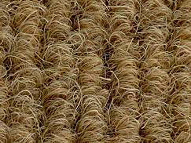 Joseph Hamilton Seaton Carpets - Brossmat Lite - Carpet