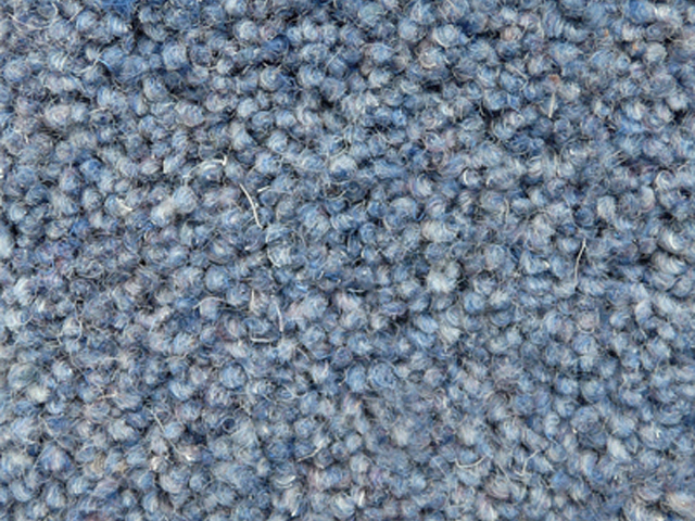 Joseph Hamilton Seaton Carpets - Whittington Twist - Carpet