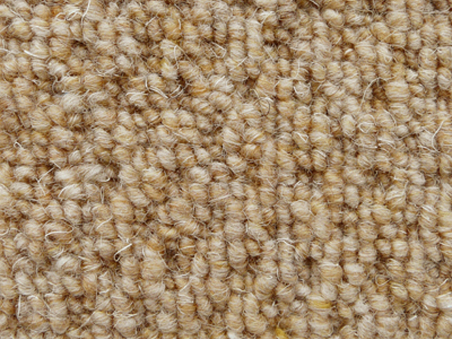 Joseph Hamilton Seaton Carpets - Armitage - Carpet
