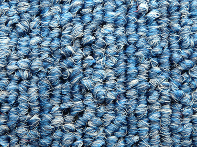 Joseph Hamilton Seaton Carpets - Mainstay - Carpet