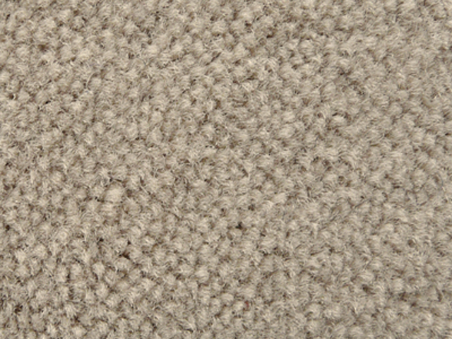 Joseph Hamilton Seaton Carpets - Palmera Plus - Carpet
