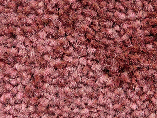 Joseph Hamilton Seaton Carpets - Hospi - Twist - Carpet