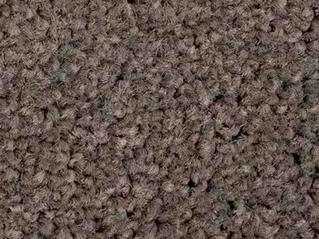 Joseph Hamilton Seaton Carpets - Highfields - Carpet