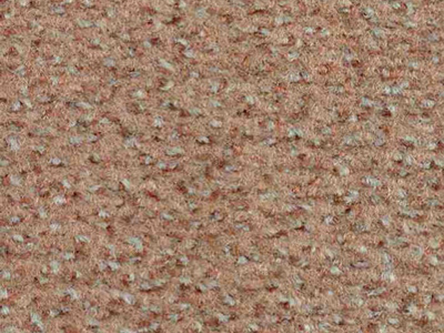 Joseph Hamilton Seaton Carpets - Garda Plus - Carpet