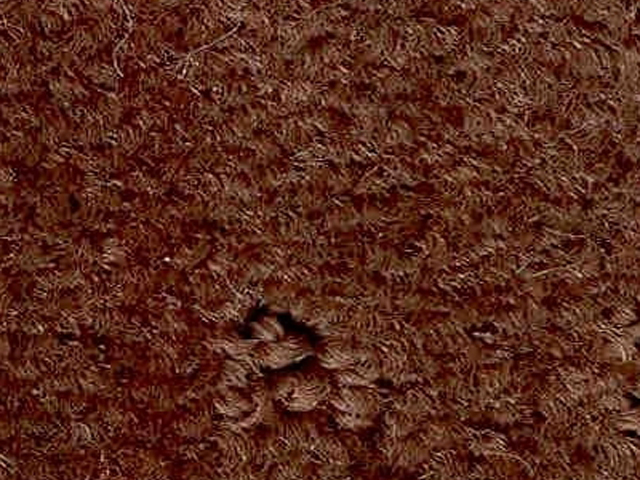 Joseph Hamilton Seaton Carpets - Vancouver Plus - Carpet