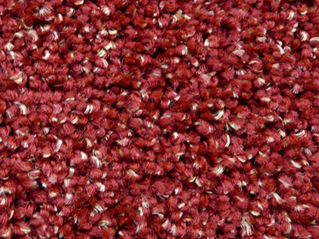Joseph Hamilton Seaton Carpets - Hospi Classic II - Carpet