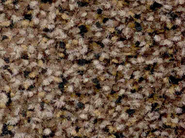 Joseph Hamilton Seaton Carpets - Universal Care - Carpet