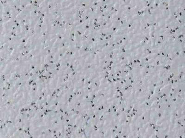 Joseph Hamilton Seaton Carpets - Safety Alpha - Carpet
