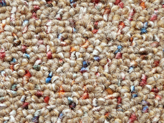 Joseph Hamilton Seaton Carpets - Hospi Guard II - Carpet