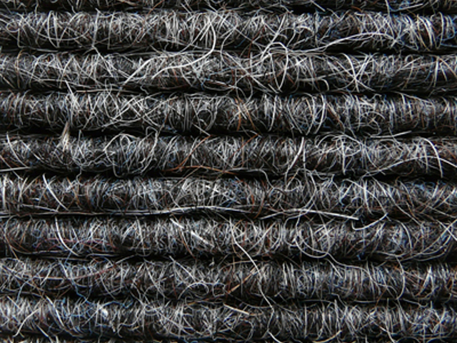 Joseph Hamilton Seaton Carpets - Tretford Sheet - Carpet