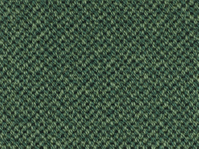 Mellau - Synthetic - Moos - Carpet