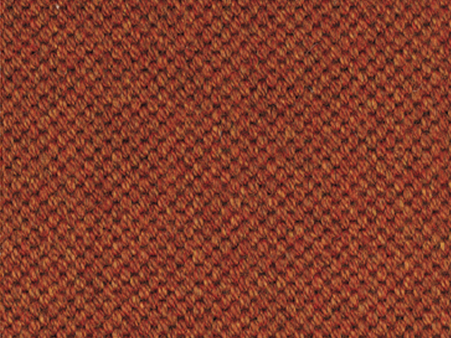 Mellau - Synthetic - Kupfer - Carpet