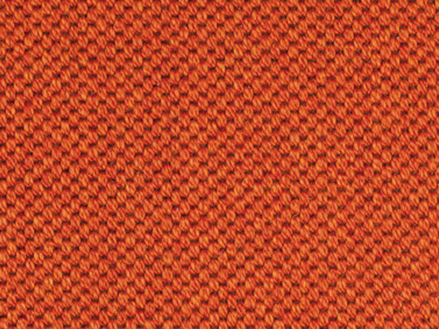 Mellau - Synthetic - Orange - Carpet