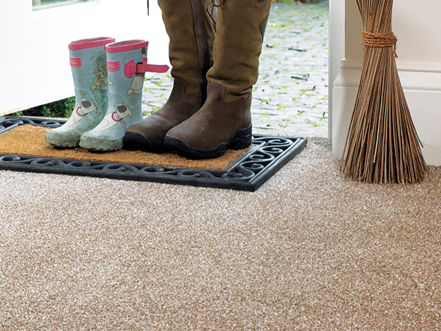 Abingdon Flooring - Stainfree Luxor - Carpet