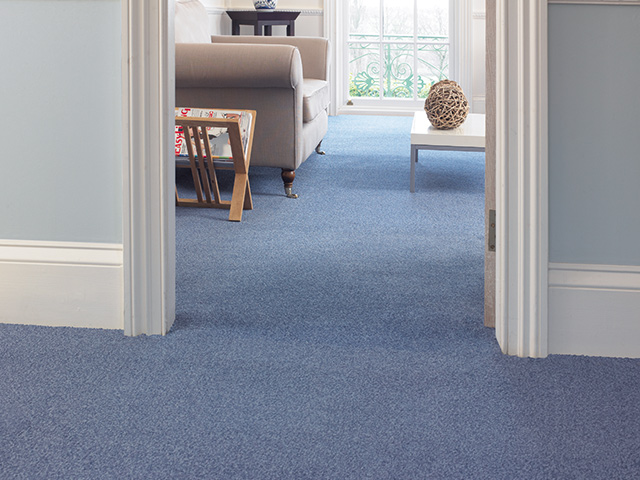 Abingdon Flooring - Stainfree Prince - Carpet
